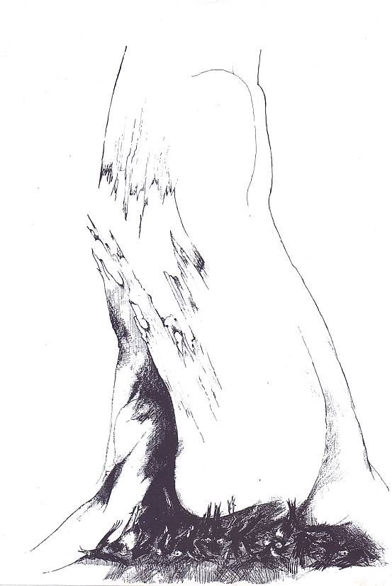 eventImage2